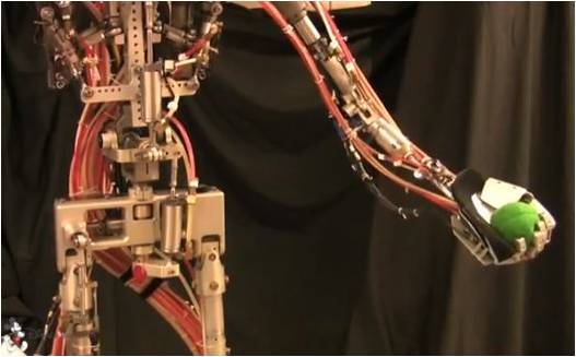 Top Yakalama Oynayabilen Robot